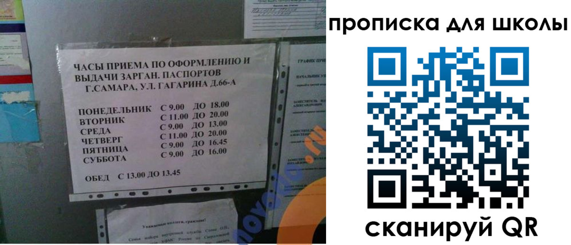 где прописаться в Вязьме